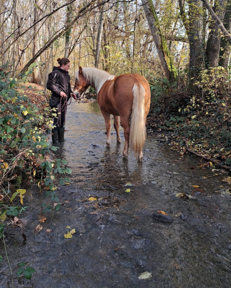 Pauline et son cheval en extérieur